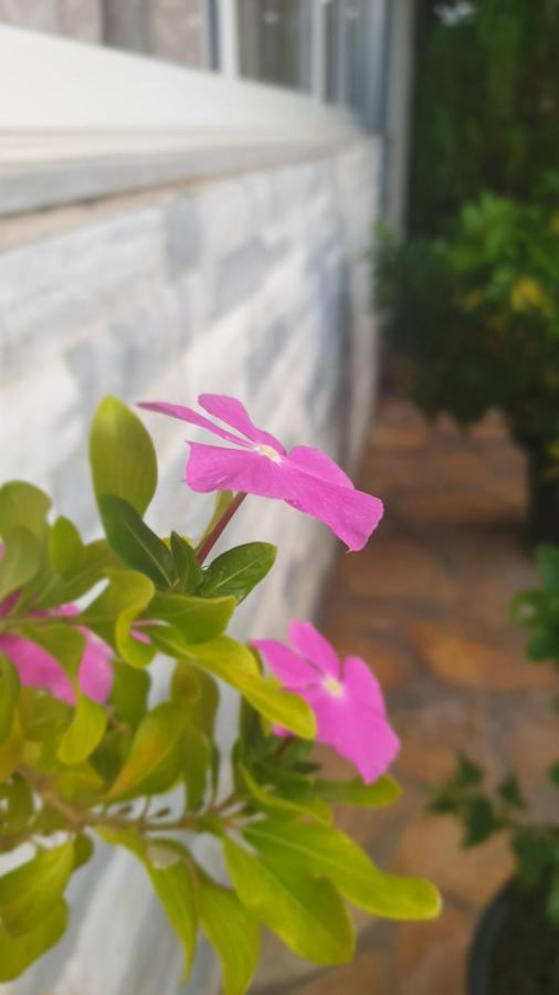 Hotel Frida Himare Bagian luar foto